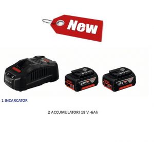 SET INCARCATOR +2 ACCUMULATORI 6Ah/18v ― BOSCH STORE - Magazin Online